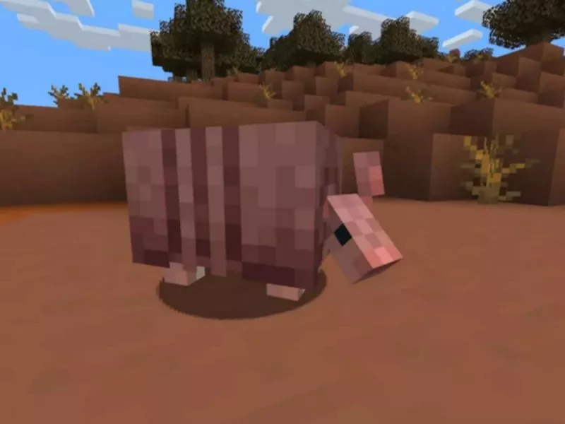 Minecraft PE 1.20.80